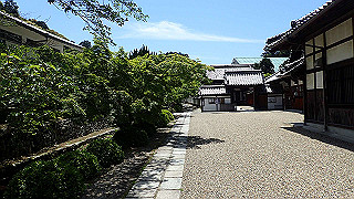 p5112989_thumb.jpg