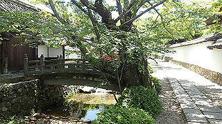 p5112992_thumb.jpg