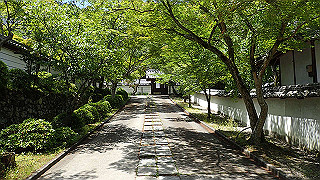p5112998_thumb.jpg