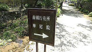 p5112999_thumb.jpg