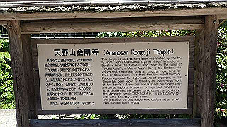 p5113006_thumb.jpg