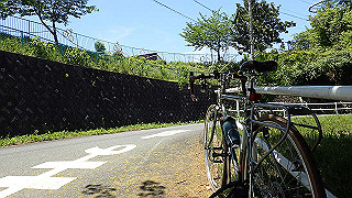 p5113007_thumb.jpg