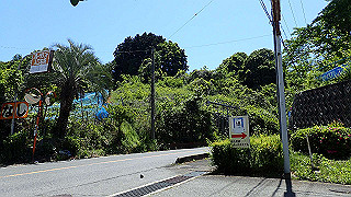 p5113008_thumb.jpg