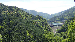 p5113012_thumb.jpg