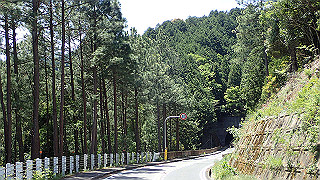 p5113013_thumb.jpg