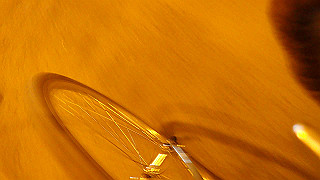 p5113016_thumb.jpg