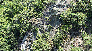 p5113025_thumb.jpg