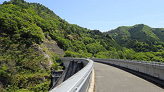 p5113026_thumb.jpg