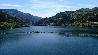 p5113027_thumb.jpg