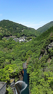 p5113029_thumb.jpg