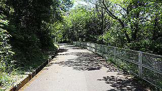 p5113030_thumb.jpg