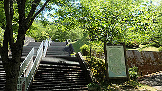 p5113035_thumb.jpg