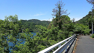 p5113037_thumb.jpg