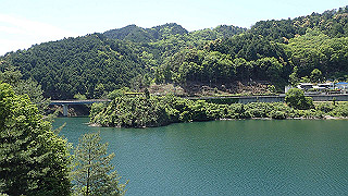 p5113038_thumb.jpg