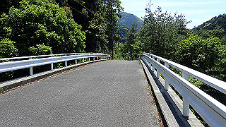 p5113039_thumb.jpg