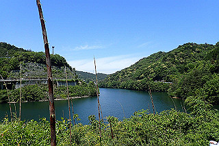 p5113043_thumb.jpg
