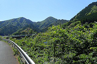 p5113044_thumb.jpg