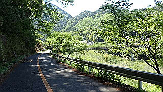 p5113046_thumb.jpg