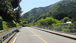 p5113047_thumb.jpg