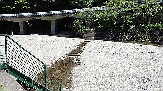 p5113055_thumb.jpg