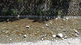 p5113057_thumb.jpg