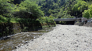 p5113058_thumb.jpg