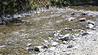 p5113059_thumb.jpg
