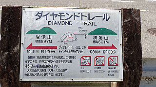 p5113060_thumb.jpg