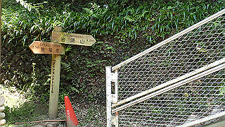 p5113061_thumb.jpg