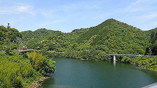 p5113069_thumb.jpg