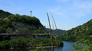 p5113071_thumb.jpg
