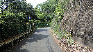 p5113072_thumb.jpg