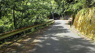p5113074_thumb.jpg