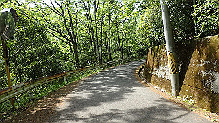 p5113075_thumb.jpg