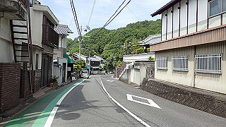 p5113080_thumb.jpg