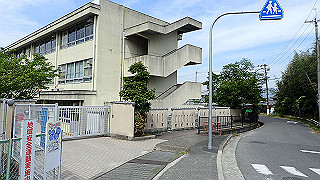 p5113081_thumb.jpg