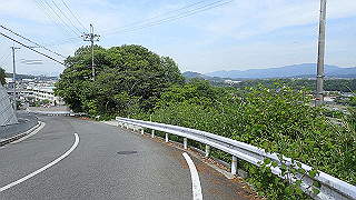 p5113084_thumb.jpg
