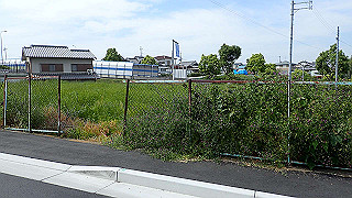 p5113086_thumb.jpg