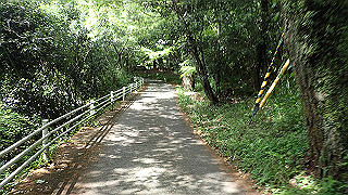 p5113097_thumb.jpg