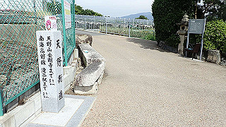 p5113102_thumb.jpg