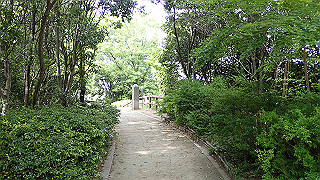 p5113110_thumb.jpg
