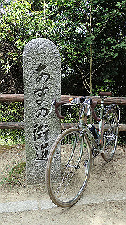 p5113112_thumb.jpg