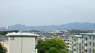 p5113113_thumb.jpg