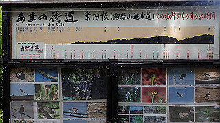p5113117_thumb.jpg