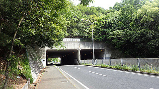 p5113119_thumb.jpg
