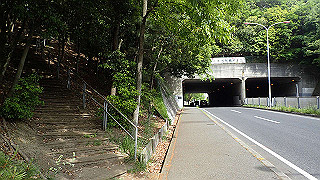 p5113120_thumb.jpg