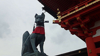 p5163454_thumb.jpg
