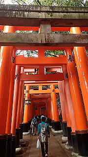 p5163469_thumb.jpg