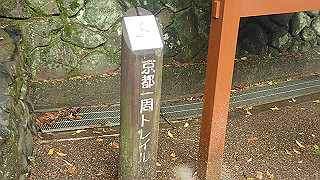 p5163475_thumb.jpg