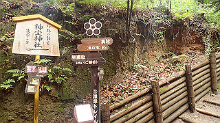 p5163477_thumb.jpg